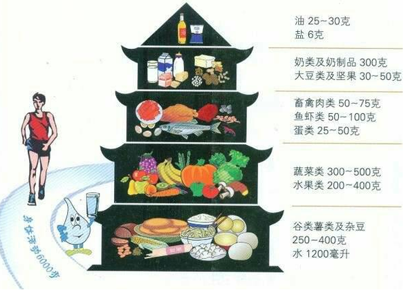 健康生活方式与食品 从餐桌开始的全面健康指南